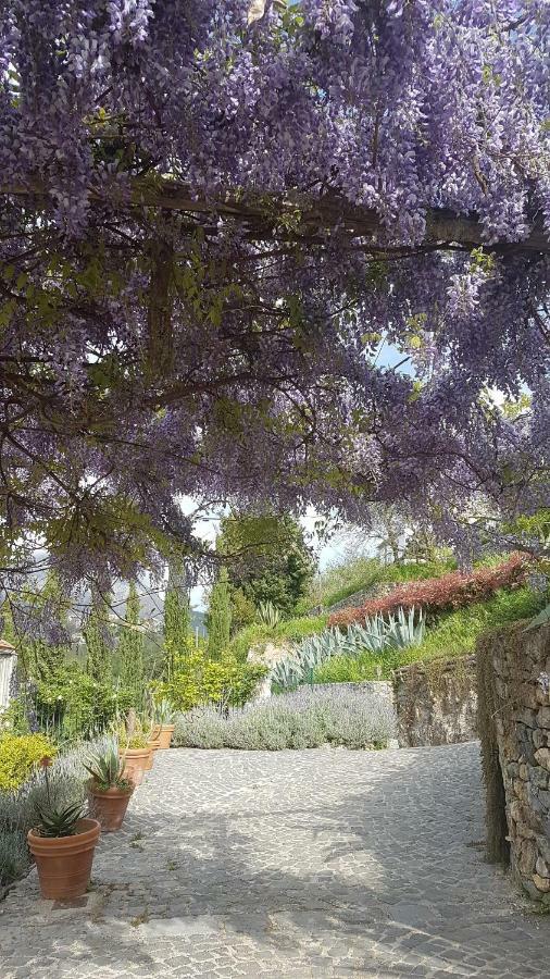 Villa Ancient Estate "Il Trignano" Vietri Exterior foto