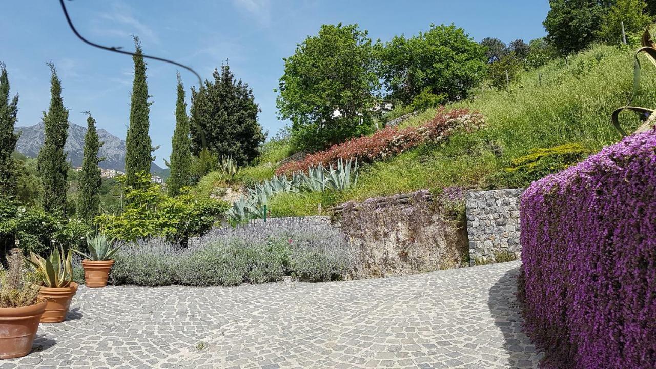 Villa Ancient Estate "Il Trignano" Vietri Exterior foto